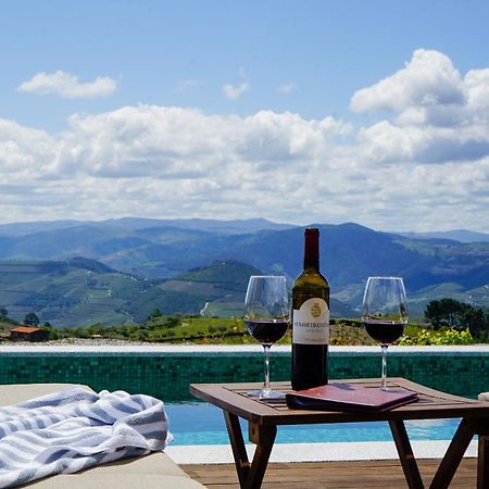 Casa Do Santo - Wine & Tourism Villa Provesende Buitenkant foto
