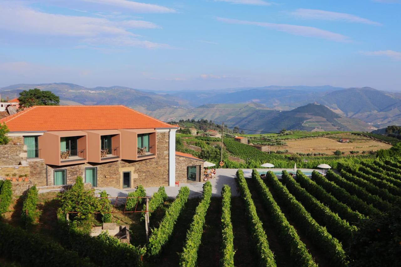 Casa Do Santo - Wine & Tourism Villa Provesende Buitenkant foto