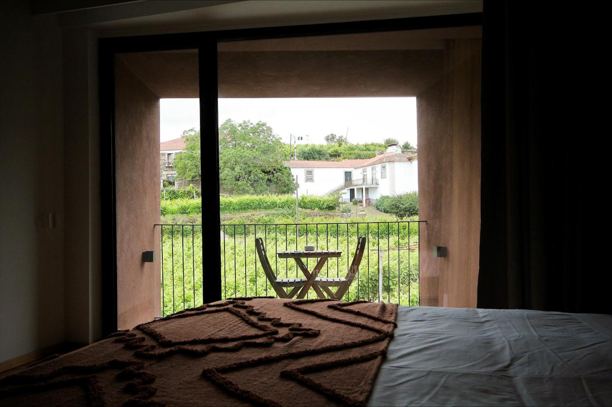 Casa Do Santo - Wine & Tourism Villa Provesende Buitenkant foto