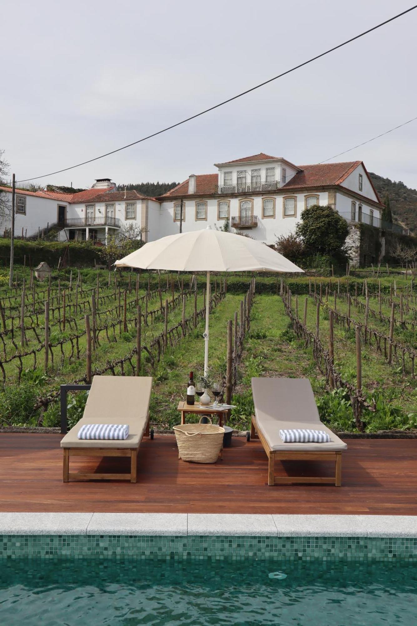 Casa Do Santo - Wine & Tourism Villa Provesende Buitenkant foto