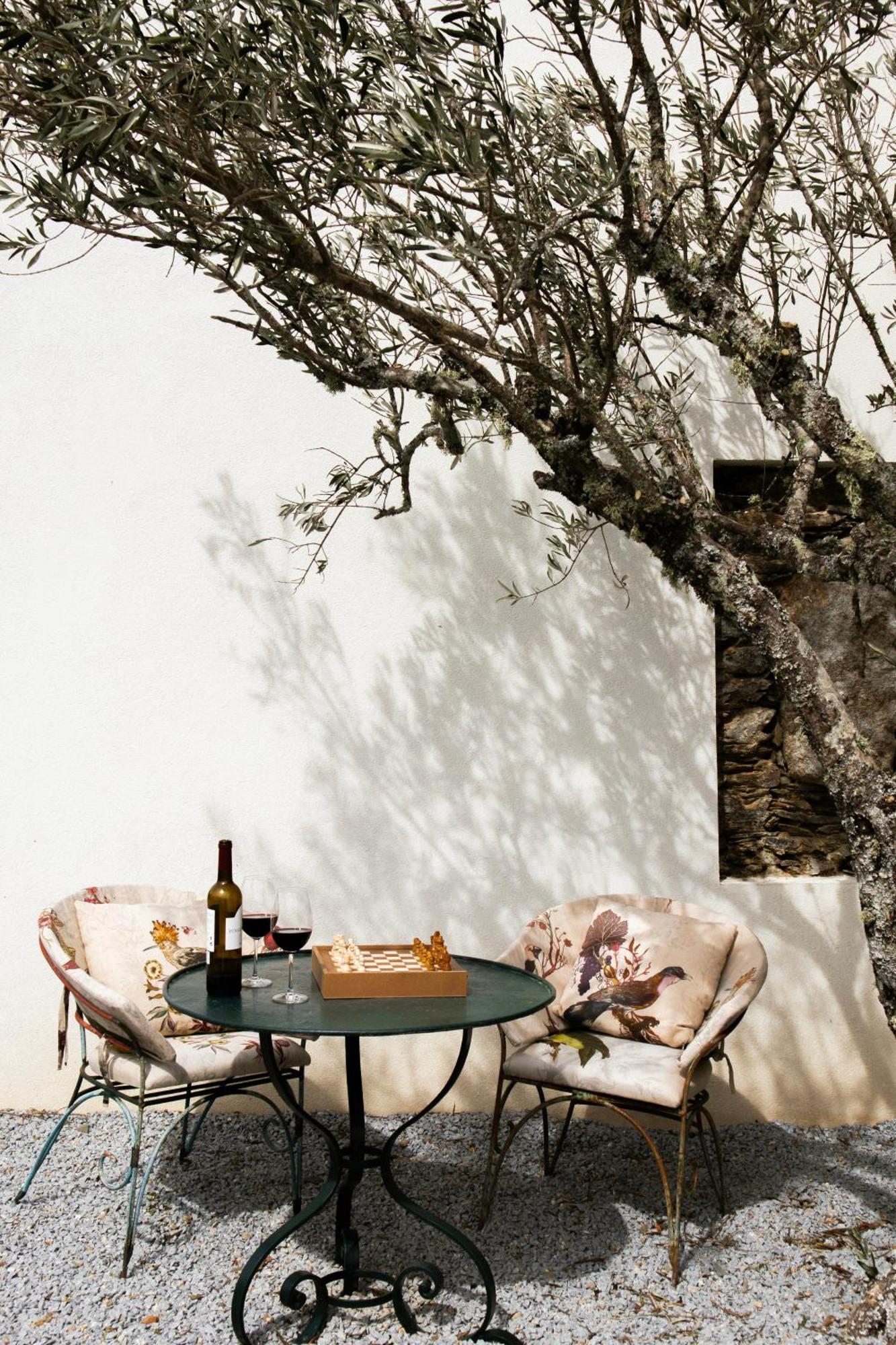 Casa Do Santo - Wine & Tourism Villa Provesende Buitenkant foto