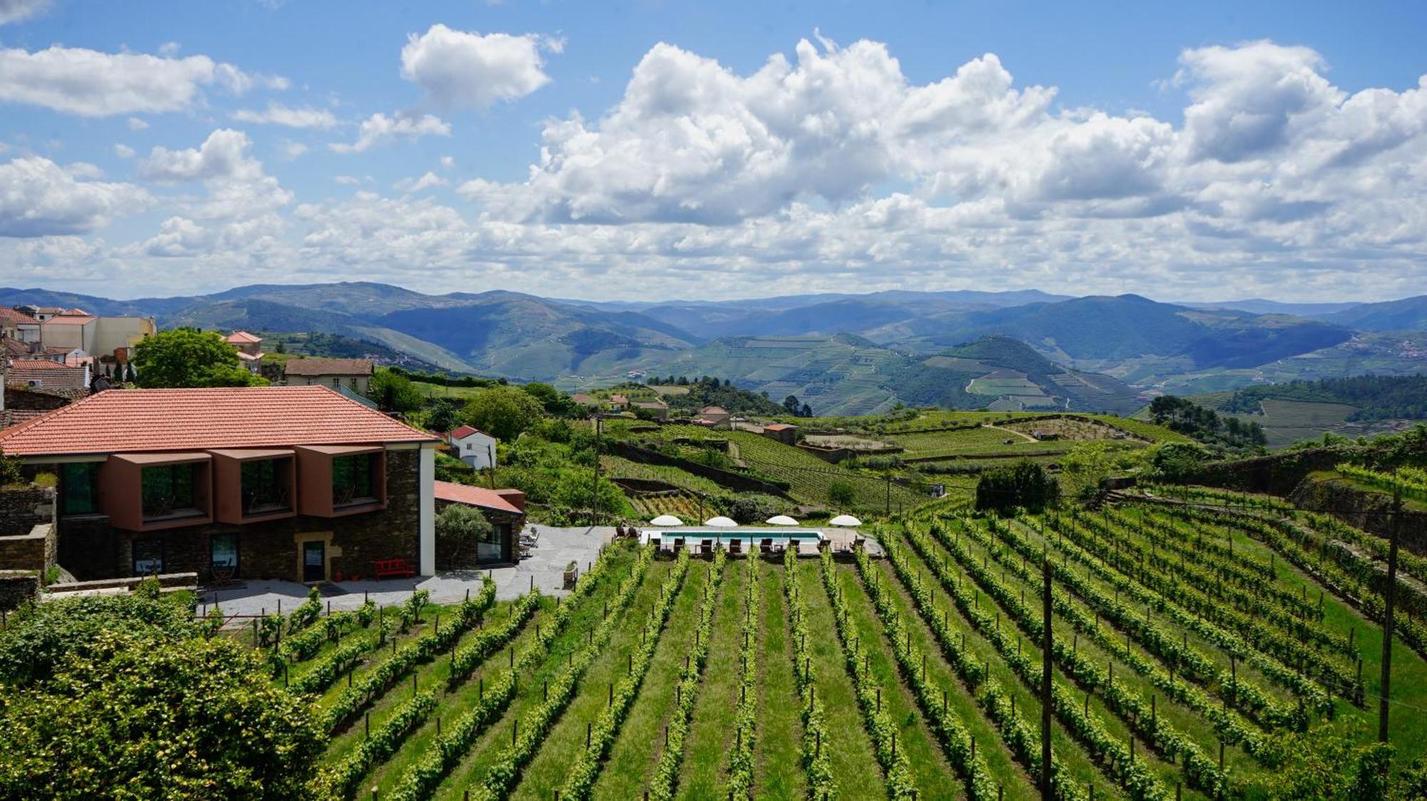 Casa Do Santo - Wine & Tourism Villa Provesende Buitenkant foto